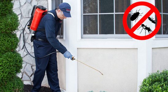 Tire Kemirgen İlaçlama böcek ilaçlama ve haşere kontrolü — ilaclama-tr.com